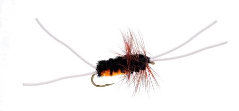 Bitch Creek 6 Pack CLOSEOUT